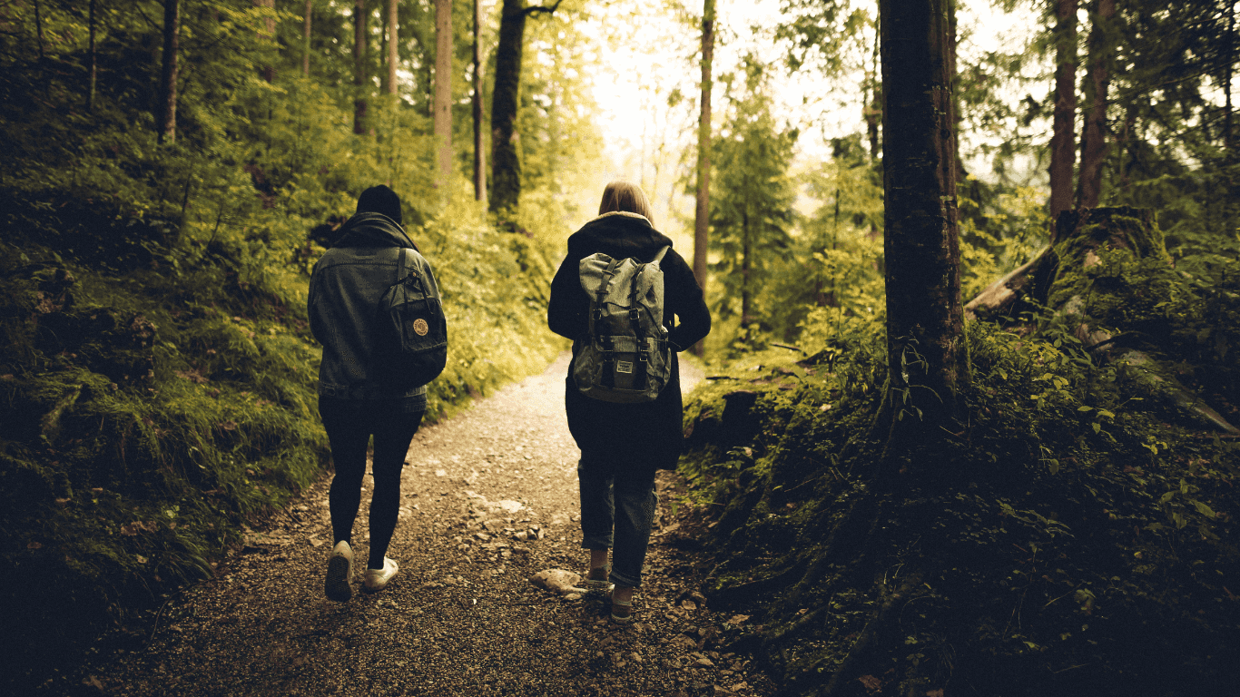 Group of hikers